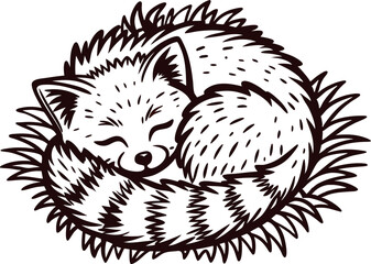 Sleeping curled red panda drawing on grass cute animal hand drawn in black and white line art