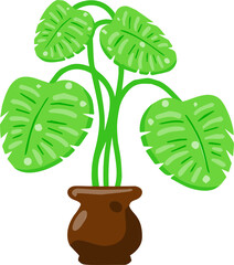 Houseplant with tropical foliage in a pot. Flat vector cartoon illustration.