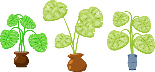 Green indoor plants in colorful pots. Flat cartoon vector illustration.