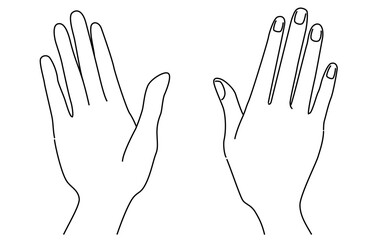 表裏の制止する手を描いたシンプルな線画のベクターイラスト