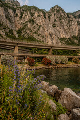 Mountain Highway Above Colorful Wildflowers And Calm Waters: Scenic View Of Lecco Infrastructure On Lake Como In Northern Italy