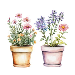 watercolor vector of Flower Pots, isolated on a white background.