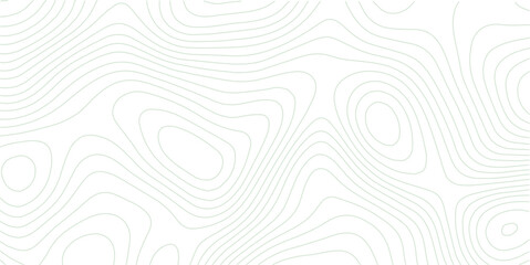 White wave paper curved reliefs abstract background, Topography map background, Abstract topographic contours map background. Vector geographic contour map