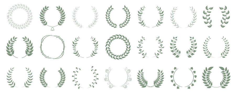 Floral wreath collection. Set of green laurel wreath element for winner, award, champion. Tree branch wreath
