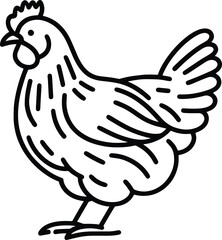 Chicken line art vector illustration isolated on a white background
