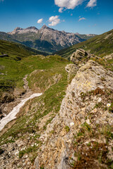 Alpine Wildflowers in Bloom along Splugen Pass Trail: Scenic View of Pizzo Tambo and Surettahorn Peaks Framed by Verdant Valleys and Clear Blue Sky