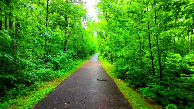 Bike Ride on the Mississippi Headwaters Trail