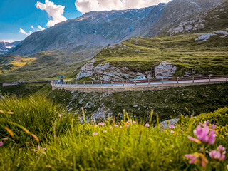 Rocky Alpine Slopes with Grassy Trails and Rugged Peaks at Splugen Pass: Serene Mountain Landscape...