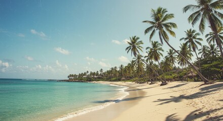 Tropical Beach with Palm Trees and Turquoise Sea on Sunny Day
