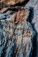 Textured Rock Surface With Layers Of Striated Minerals: Close-Up Of Weathered Geological Formation In The Mountains Of Northern Italy