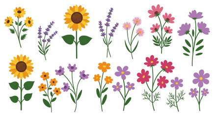 Floral vector illustration: bright botanical collection in flat style for print, card, poster