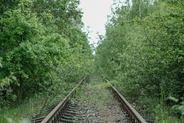 Abandoned railway tracks lined with lush green vegetation under a soft sky.