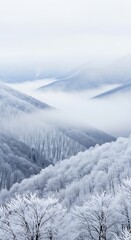 Obraz premium Snowy winter mountain landscape. Layered snow-covered hills with dense frost trees and morning fog. Scenic outdoor scenery for winter travel and tourism.