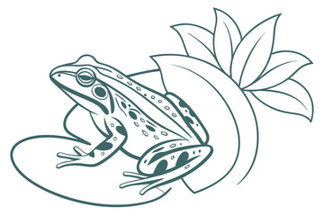 Frog Illustration – Outline Style