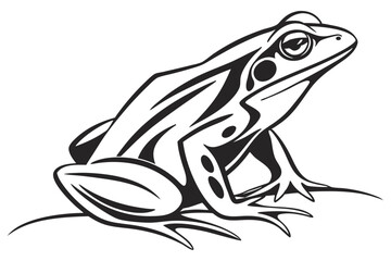 Frog in Clean Black Contour