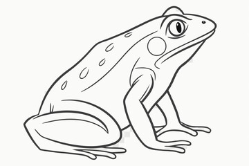 Frog in Clean Black Contour