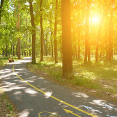 Sunrise in a beautiful park with bicycle and walking path.