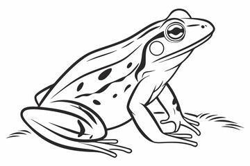Minimalist Frog Outline Vector