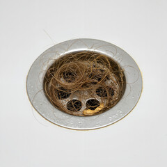 Clogged hair in bathtub drain on white background, hygiene problem detail