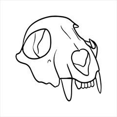 Animal skull with fangs. Hand drawn black and white vector illustration of a animal skull with sharp teethin line art style. Hand drawn skull sketch. Bones painted by black inks