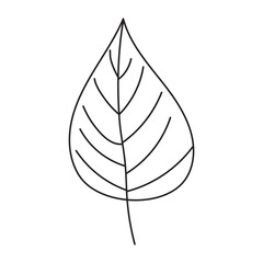 Outline tree leaf on isolated background. Plant element in doodle style. Vector.