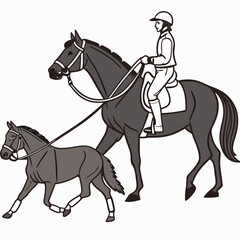 Rider leading dark horse with foal on white background equestrian