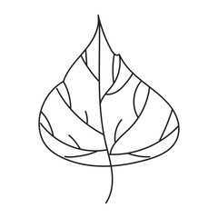 Line drawing of an aspen leaf
