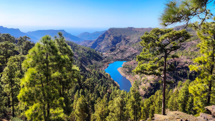 Scenic Mountain Reservoir in Gran Canaria