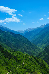Fototapeta premium A breathtaking view of a lush green valley. Forested mountains under sky. A winding trail cuts through the landscape. Perfect scene of natural beauty and tranquility.