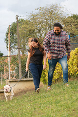 Obraz premium Bulldog leading his owners on a joyful park walk. walking and enjoying the sunshine. Surrounded by grass and greenery, they share laughter and play
