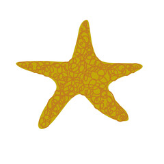 golden star on white background