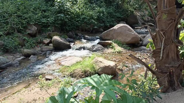 flowing water stream creek cascade waterfall in tropical forest