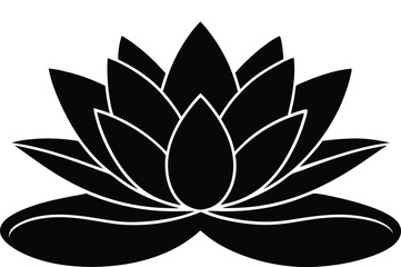 black and white lotus flower