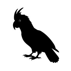 Black silhouette of a cockatoo parrot with a prominent crest and sharp claws