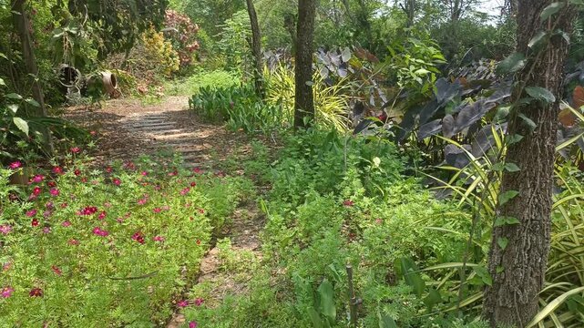 walkway pathway in flower garden park