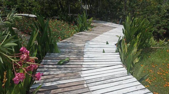 walkway pathway in flower garden park