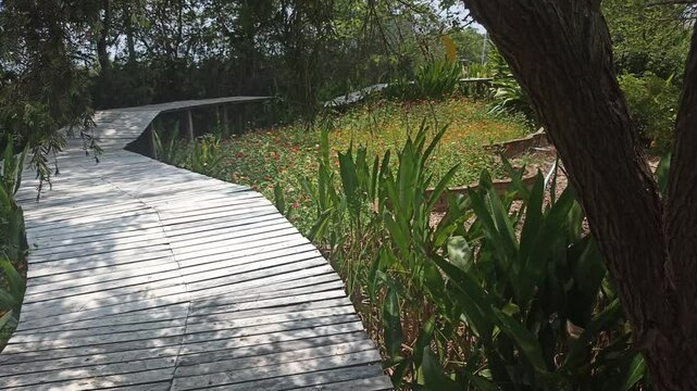 walkway pathway in flower garden park