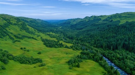Naklejka premium Aerial view of a green valley with a river and forest. Scottish highlands in the summer.