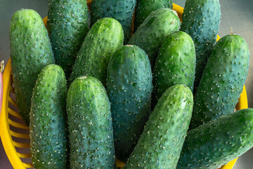 Fresh green cucumbers neatly arranged in colorful baskets at a local market. Crisp cucumbers displayed in baskets reflecting the essence of freshness and vitality.