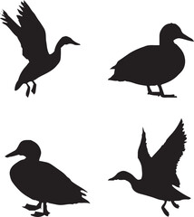 a set of duck silhouette.