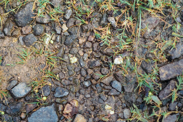soil and rocks after rain