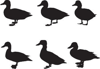 a set of duck silhouette.