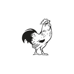 simple chicken icon illustration design, cute hen symbol