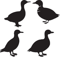 a set of duck silhouette.