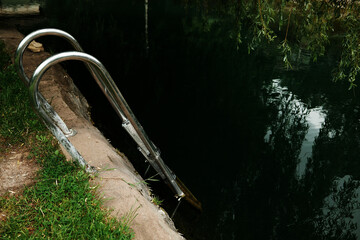Stainless steel ladder leading into dark, natural water surrounded by grass and overhanging...