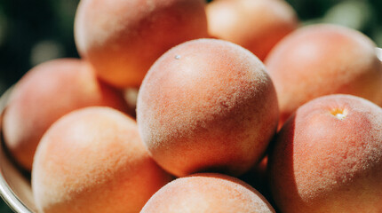 Fruits apricots, peaches, natural background, blur, selective focus.
