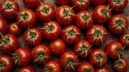 Lots of red round tomatoes with green cuttings, background texture. Ripe vegetables, freshly harvested