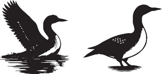 a set of duck silhouette.