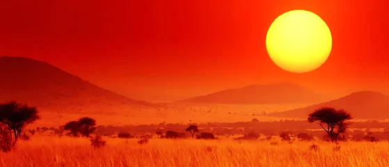 Gordijnen African savanna sunset landscape dramatic orange sky huge sun © PNG House