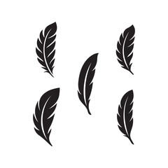 a black and white vector illustration set of feathered on white background